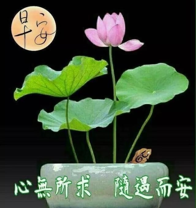  群发@群发清晨早上好问候祝福语，微信群冬天早安问候图片