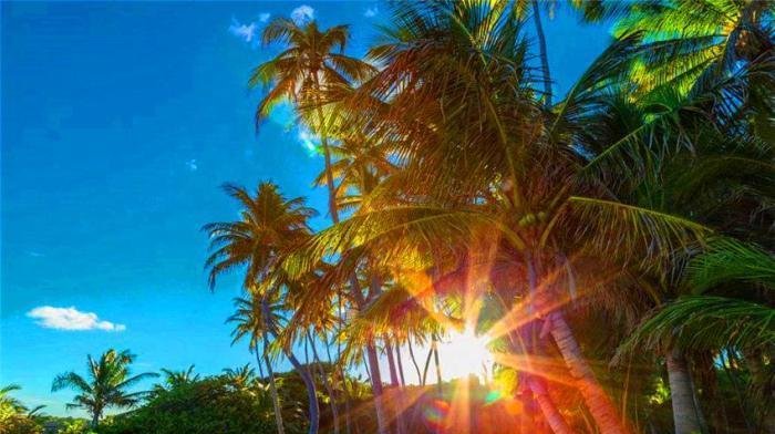 为何游客都不愿去三亚了? 就连东北人都很少去, 原因大家都懂