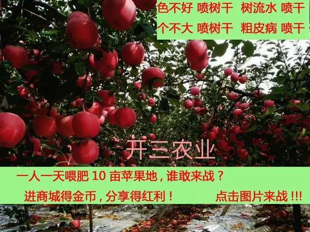 鲁丽苹果，惊艳中国！