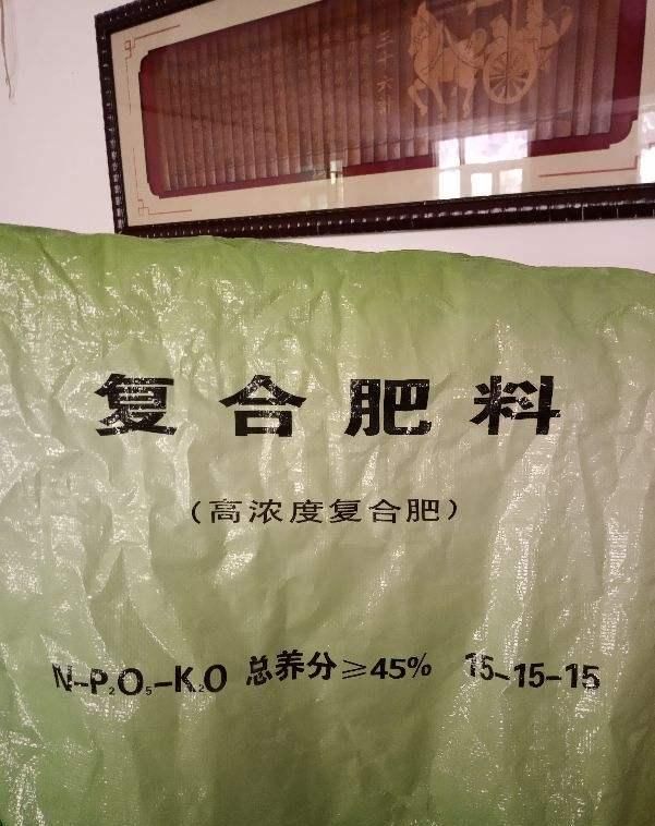  『吃饱』春天给花“喂口肥”，一次吃饱了，一整年都不缺肥