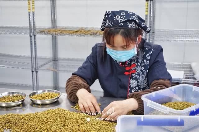  「仙草」“九大仙草”之首的霍斛，不仅健体，还拥有非物质文化遗产技艺