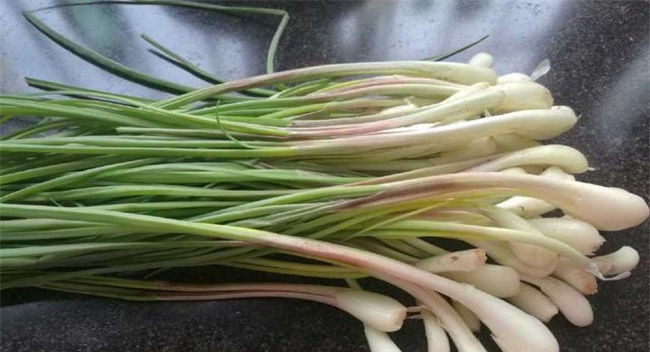  [蔬菜]农村这种蔬菜，在北方几乎看不到，南方多得吃不完