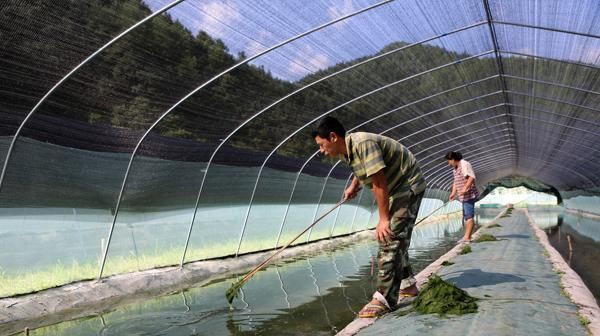 「农村」农村养殖，八大骗局