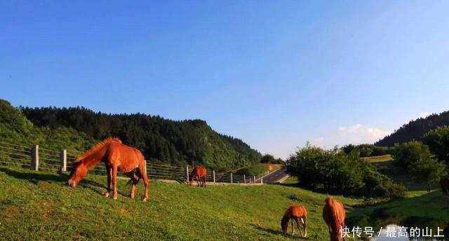 重庆这座大草原面积100000亩,号称江南的鄂尔多斯,收费0元