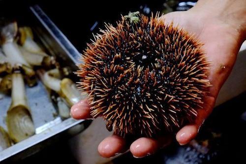 和萌宝的幸福三亚之行