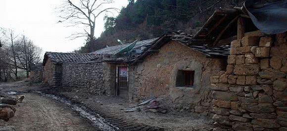  「灵性」农村三种家畜都有灵性，自己家养的从来不吃肉