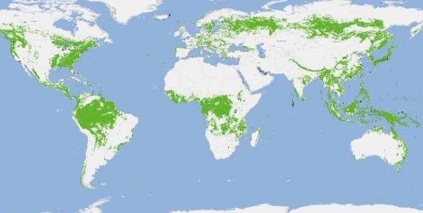  [增长]我国绿化出好消息，森林面积增长18%，地图显示中国越来越