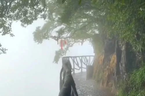 这里风景美如画“硬核”吟诗赠天下:谁家玉女桥上过,好似漫步水中仙【2020热门旅游景点】