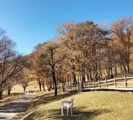 没体会过哈尔滨的冬天，实在是人生的一大憾事！