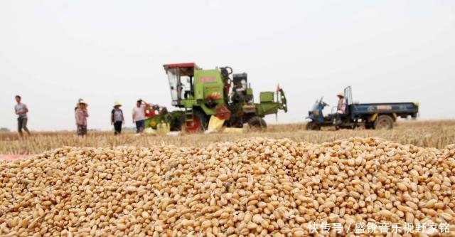  调整|农村粮补政策有所调整，这4类人不能再领，农民别因小失大