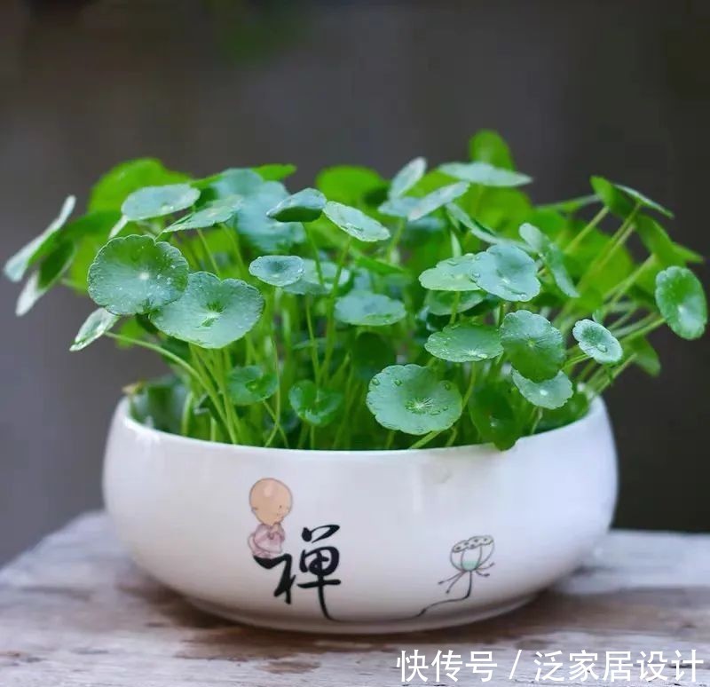  #春天#想要小钱变大钱，少钱变多钱，你一定要get的几个技巧