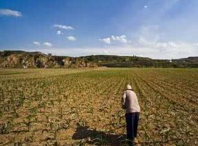 土地制度改革后，农业户口越来越值钱是真的？算这笔账你就懂了