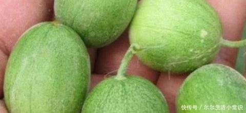 农村这种野草被发现是珍贵药材 市场上的抢手货