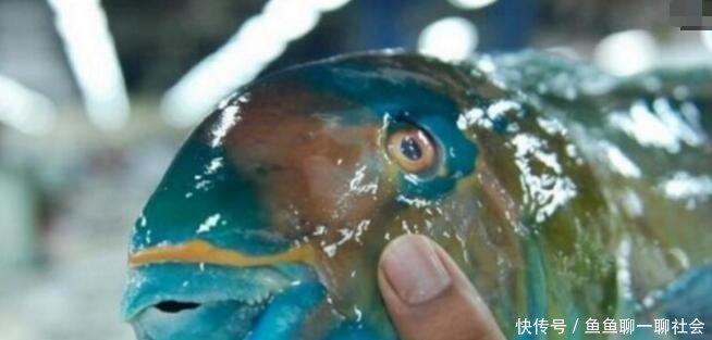 看看迪拜平民们每天都吃什么! 中国菜贩哭了!