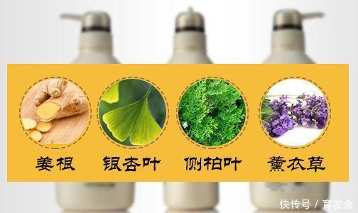  #作用#这些植物成分都有什么护发作用？