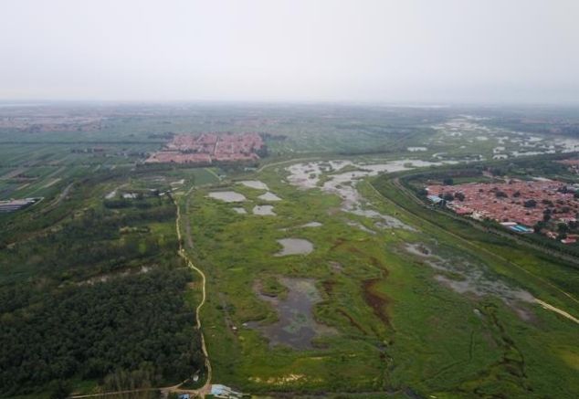 青岛母亲河至今断流仿佛大草原，利奇马经过却没喝饱