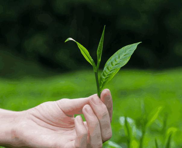 4个异常出现脸部, 十有八九是螨虫, 常用2招除螨, 行之有效