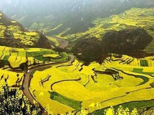 中国10大最宜居城市，你想去定居于哪座呢？