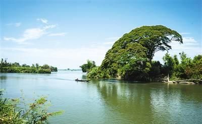 越南大虾在湄公河“泛滥”：一只虾巴掌大，中国吃货们敢下嘴吗？