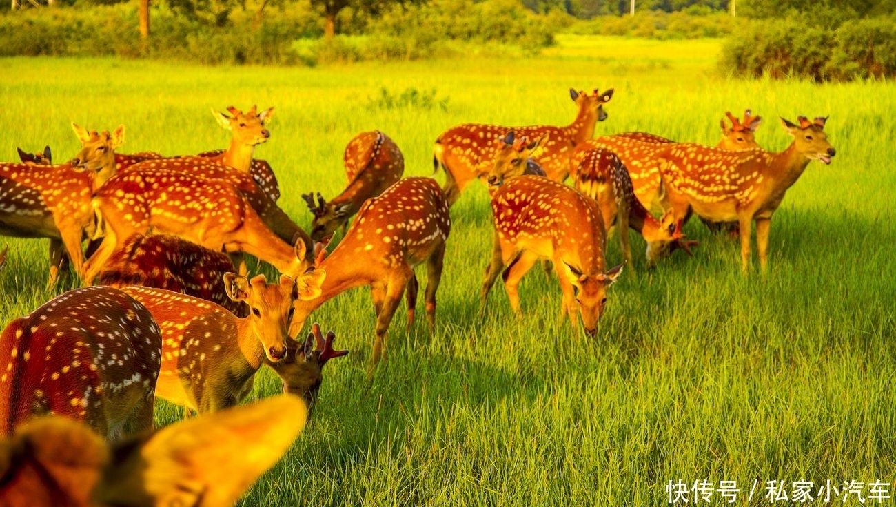 一条贯穿我国南北的高铁线，全长约2300千米，预计2025年底前建成