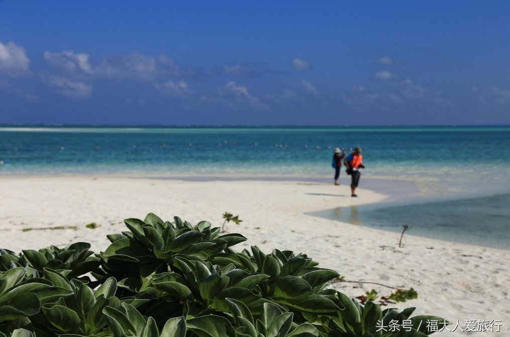 中国唯一不对外国人开放的旅游区，已接待7万游客，很神圣的地方