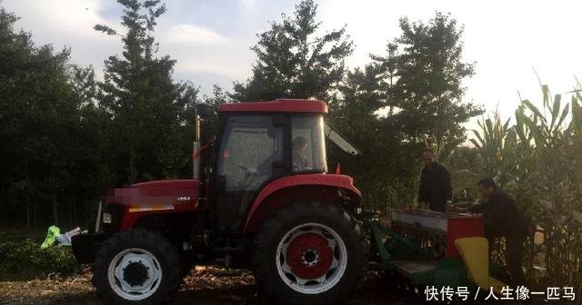 农民大哥不种玉米专种它，批发一斤2元以上，亩产8500斤