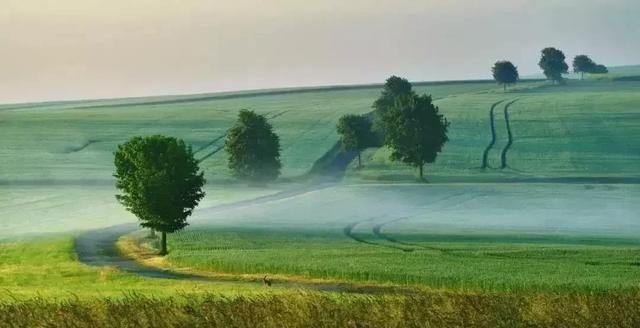 一位患有色盲症的摄影师，拍出了不一样的照片
