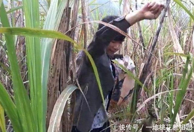 男子在田地里放了夹子,第二天收获颇丰,男子开心极了！