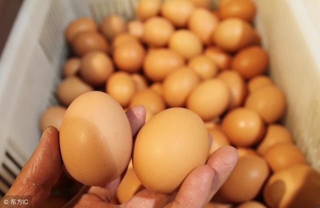 鸡蛋价格持续下跌，别高兴的太早，还会涨回来的！