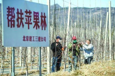  『书记』百里画廊白河堡村驻村书记：战疫中寻绿色发展新路