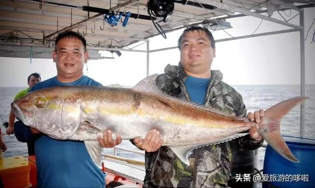 名副其实超值海岛！20元吃大虾，人均200住酒店，顺便考下潜水证