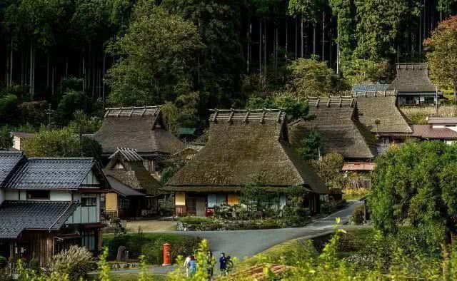 人口大城市化的日本，农村啥样？