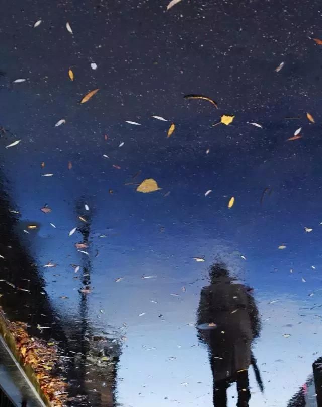 「机友讲堂」玩转手机摄影技巧——倒影拍摄