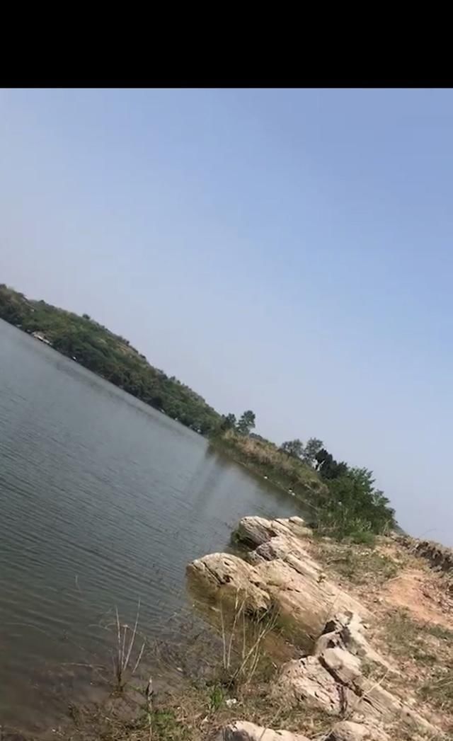  #悉数#5月鲁班扫黄行动！黄辣丁牛尾巴悉数登场