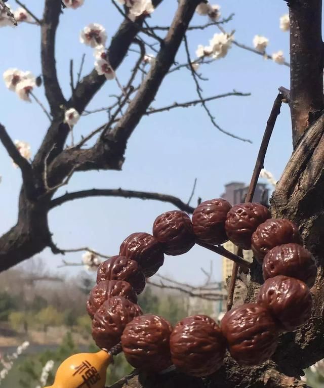 手串@炫耀手串用什么样的姿势，才能够达到最佳效果？