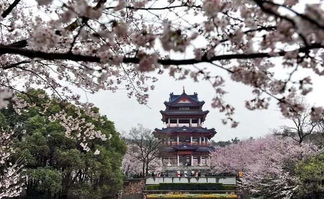 3月最佳旅行地榜单:十大绝美仙境，春暖花开美到窒息!