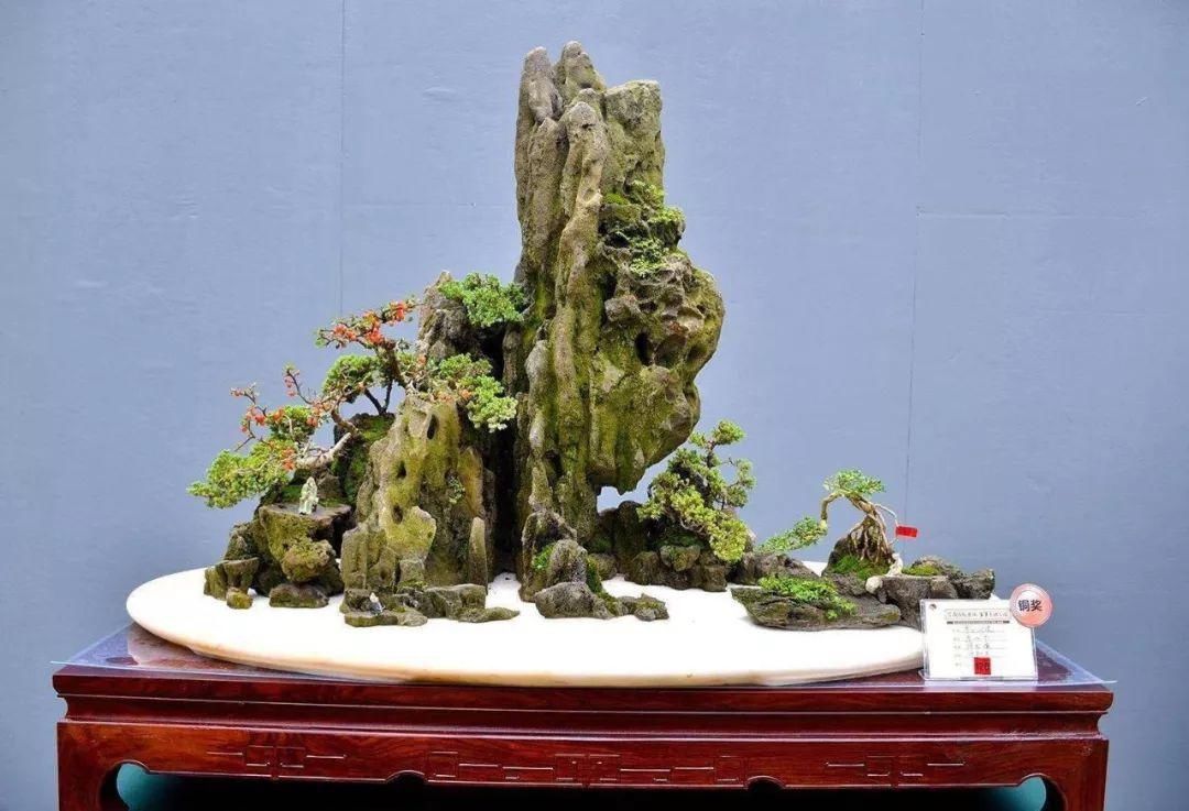 拆开:拆开山水盆景才恍然大悟,原来植物要这样才能固定在山石盆景!