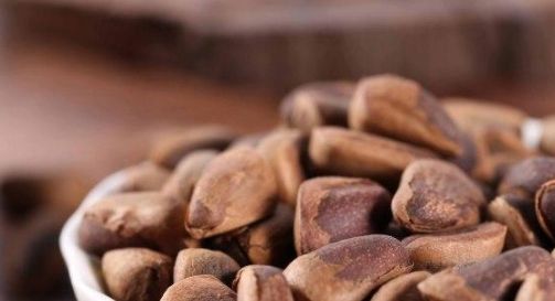  树木|这果树农村很多，以前农民拿它当柴烧，果实没人要，如今60