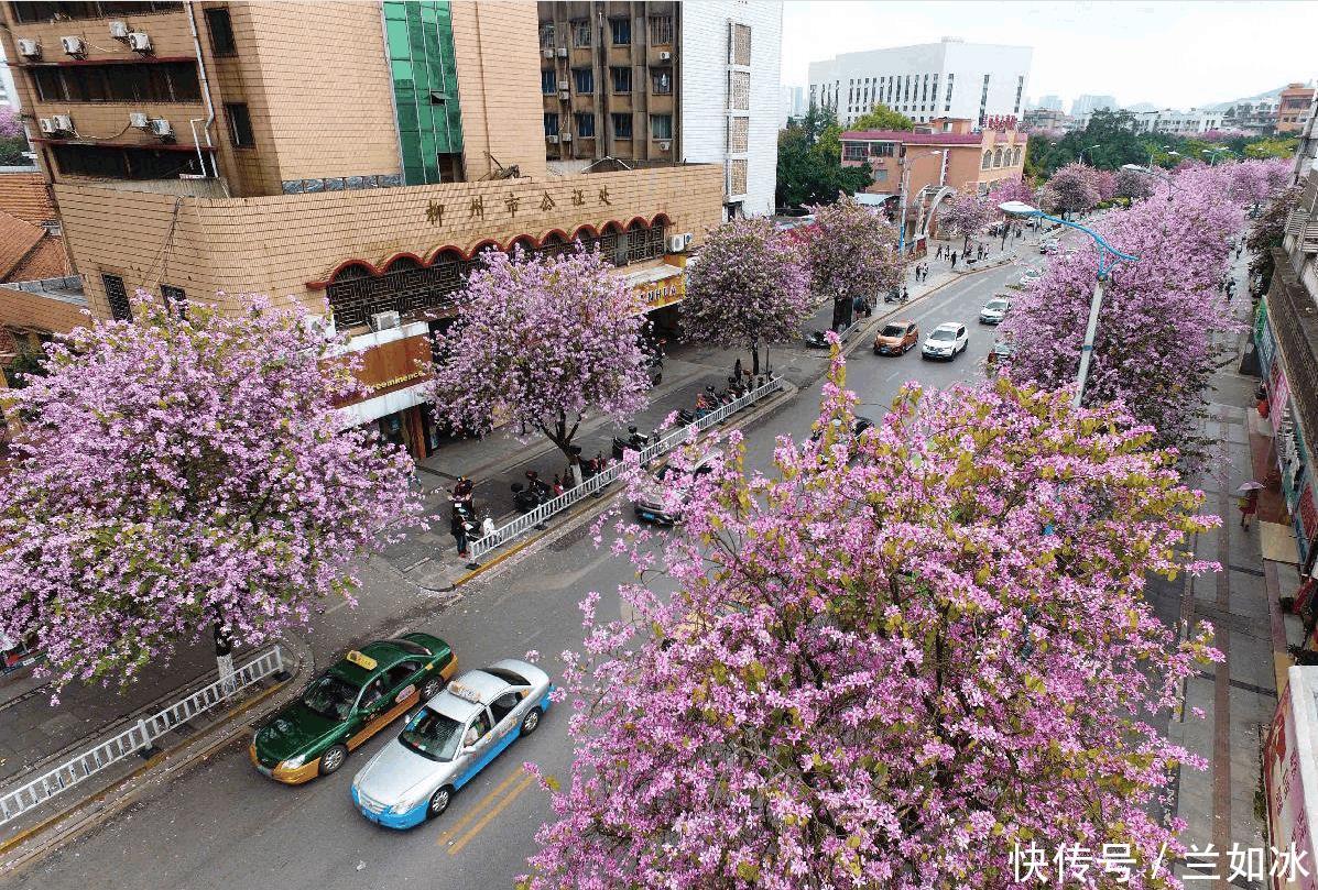  我国@直击我国南方最干净的五大城市, , 你都去过几个