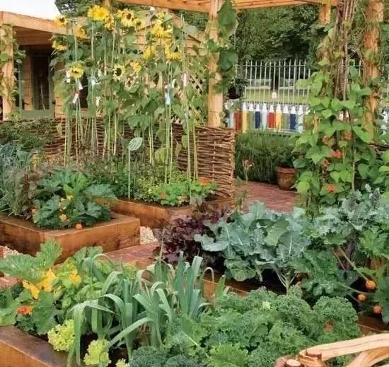 庭院景观设计——私家小花园，这样的生活才接地气