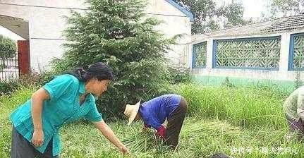 在农村，不要招惹这3种人，尤其是第二种，否则吃亏的是自己