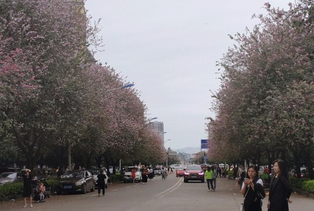 带你走进我大广西，看广西之美。