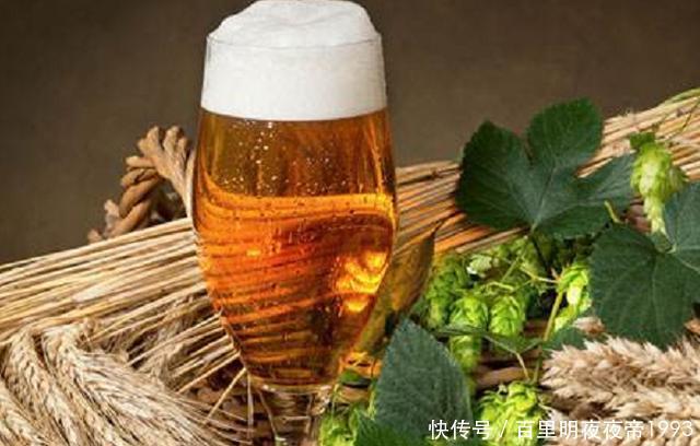  啤酒花■这植物名叫啤酒花，制作啤酒却少不了它，如今市面上一