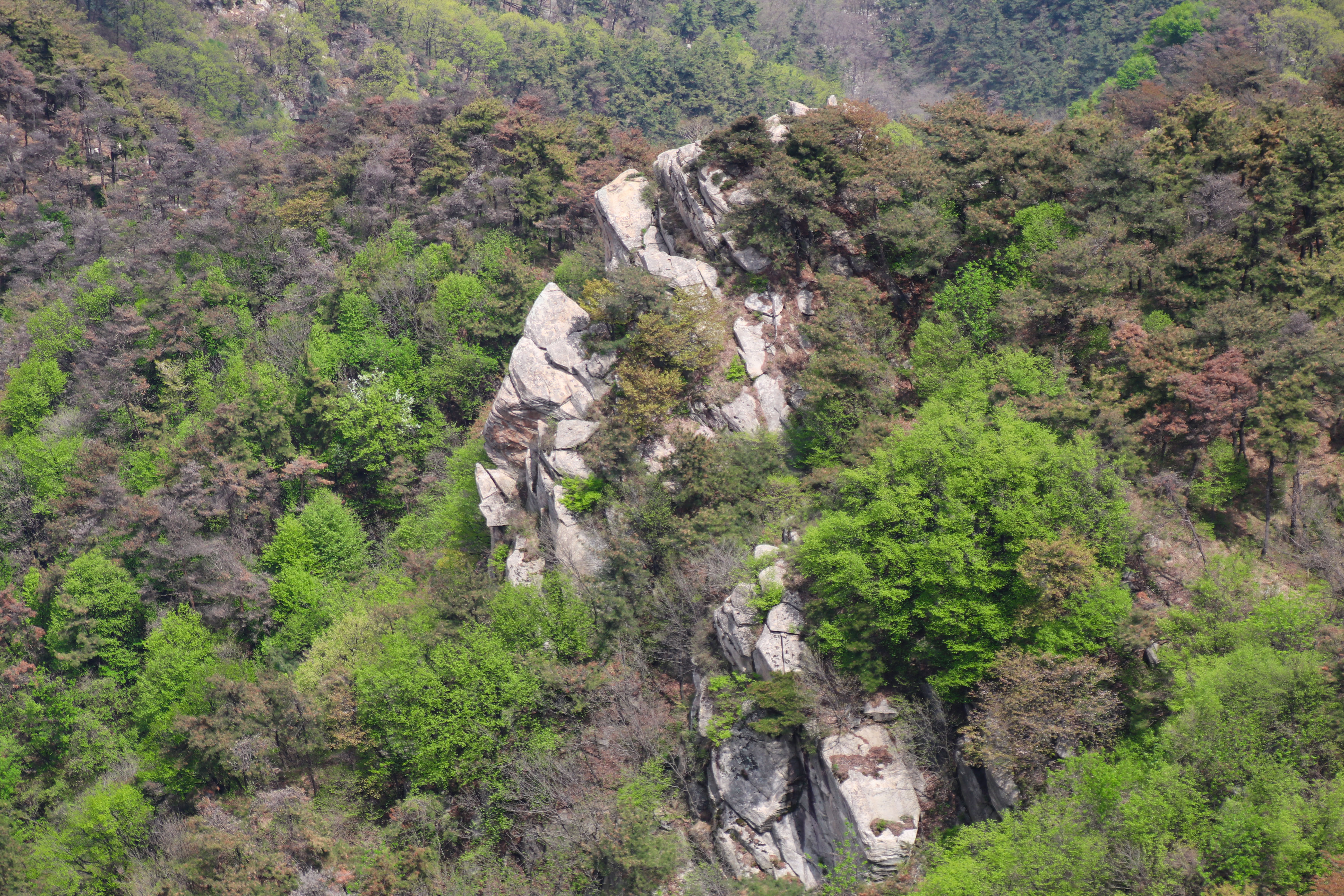 来沂蒙山，我“养”你啊