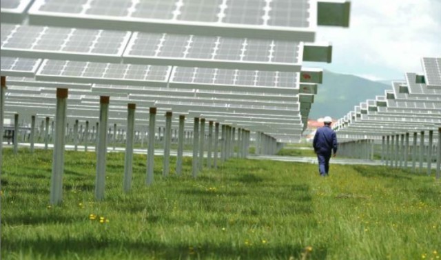  #解决#中国在发电站放了几千只羊，一个世界难题，就这样被羊给