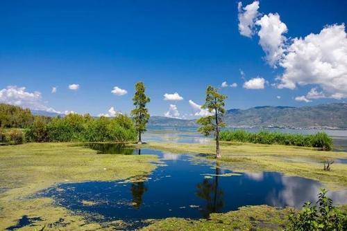 在大理，不扎堆，才逍遥，大理这些小众地方等你来打卡