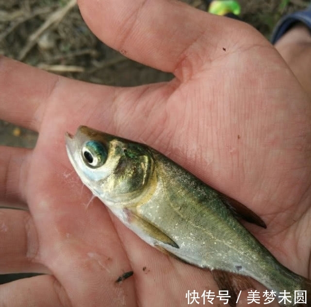 『钓友』钓鱼真的能穷三代?心态摆正,钓鱼真的是个低消费活动