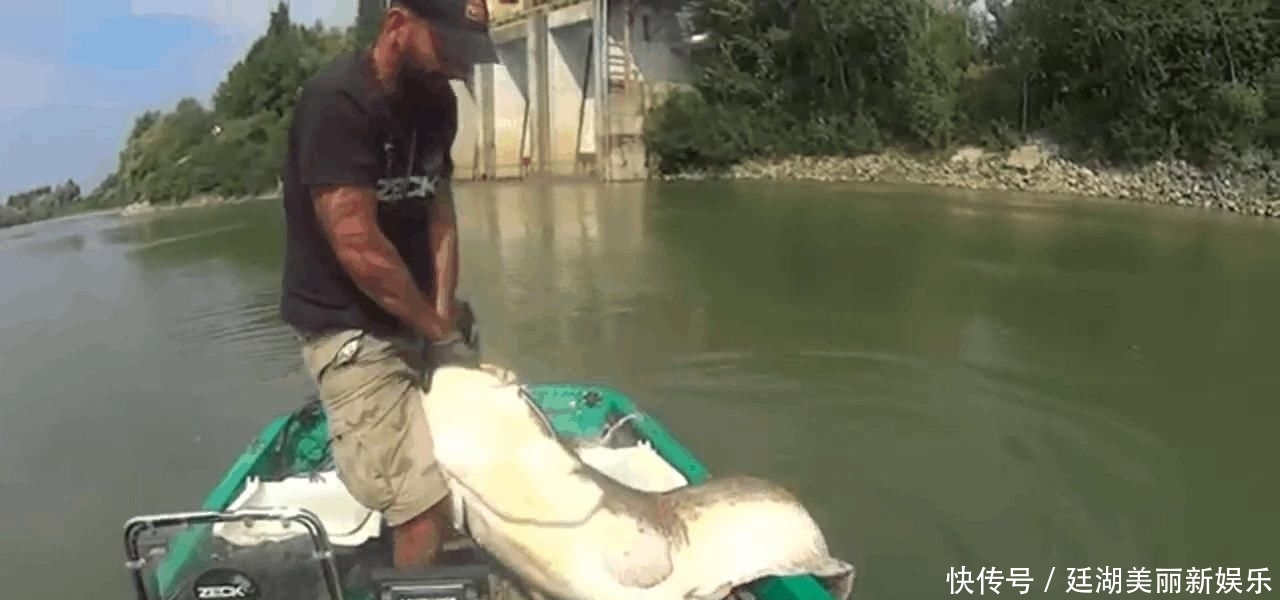 【放生】男子湖中钓起250斤重的巨型塘鲺, 拖起细看后果断放生