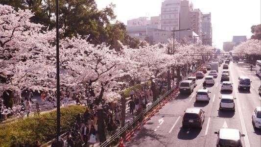 亚洲8大城市排名出炉，中国4城市上榜，第一名GDP曾位居世界第一