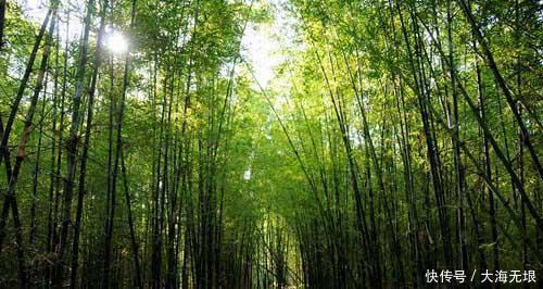 广东惠州最低调县城,藏有500年古堡,号称华南第一堡!